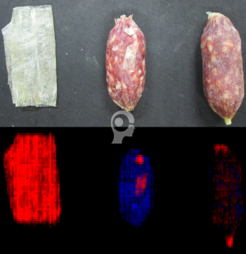 chemical color imaging, cci, and hyperspectral imaging to detect sausage casing, Perception Park, Perception System